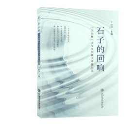 石子的回响 教学方法及理论 丁晓萍 新华正版