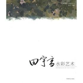 田宇高水彩艺术 美术作品 高冬 新华正版