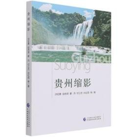 贵州缩影 经济理论、法规 洪名勇等著 新华正版