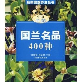 国兰名品400种 园林艺术 翟梅枝 新华正版