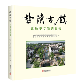 盐渎古镇——让历史文物活起来 文物考古 21世纪马克思主义研究院经济社会发展战略研究中心,盐城大洋湾组团开发有限公司 新华正版