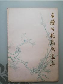 王渔父花鸟画选集