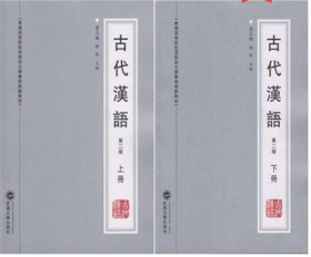 古代汉语/董志翘、杨琳 第二版第2版 上册+下册（全2册）武汉大学出版社9787307123588+9787307123595