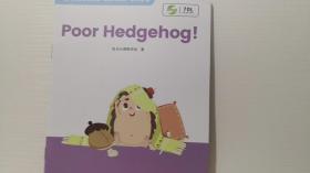 poor hedgehog!