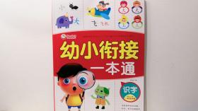 童心童语 幼小衔接 一本通 识字