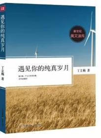 遇见你的纯真岁月