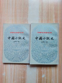 中国文化史丛书：中国小说史（上下）