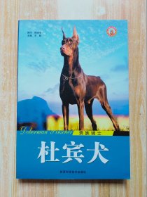 杜宾犬（贵族骑士）