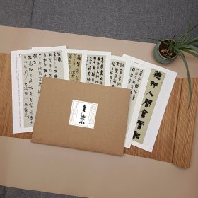 历代书法大家系列：清·金农·翰墨聚珍