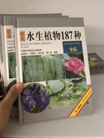 精选水生植物187种：景观植物实用图鉴16