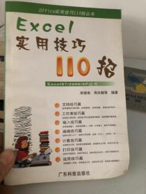 Excel 实用技巧110招