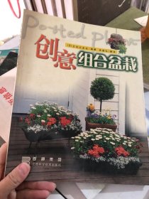 创意组合盆栽