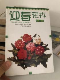 迎春花卉 第一辑