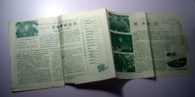 电影89（1979年广州市电影公司编印）-电影说明书、节目单、期刊