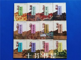中华民族优秀传统文化丛书 文学卷 12册全