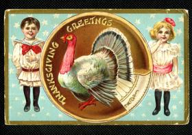 ◆ 美国明信片实寄1909年 ---------------  大火鸡