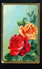 ◆ 美国老明信片实寄1909年 ---------------  玫瑰