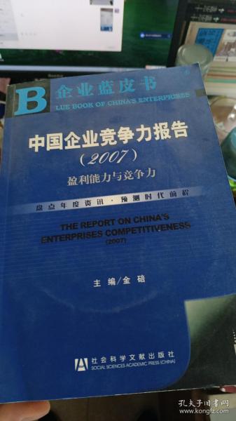 中国企业竞争力报告（2007）：盈利能力与竞争力