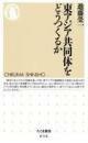 東アジア共同体をどうつくるか  中日韩东亚经济圈学术论文文献多篇 (ちくま新書2007年進藤栄一著ち