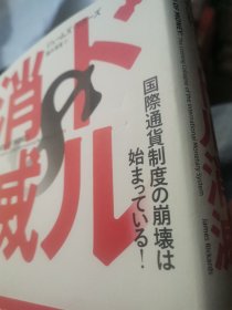 日文  国际通货肖葳战略   藤井清美翻译   日本朝日新闻出版社2015