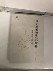 量子规范场论的解释：理论、实验、数据分析