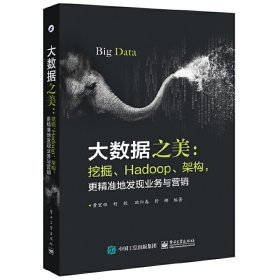 大数据之美：挖掘、Hadoop、架构，更精准地发现业务与营销