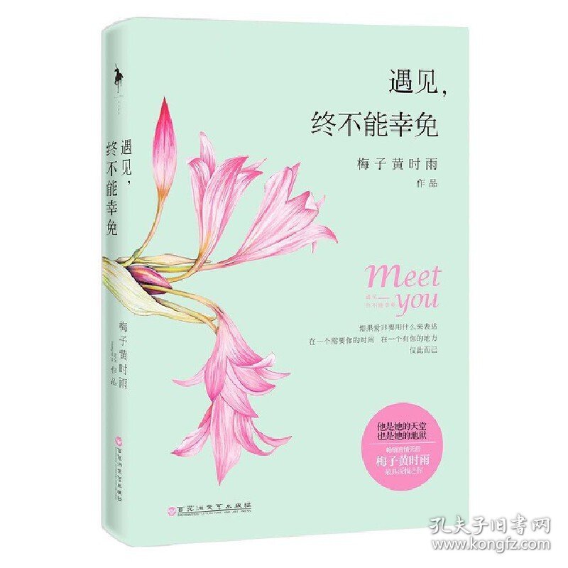 遇见.终不能幸免 梅子黄时雨 百花洲文艺出版社 9787550010109