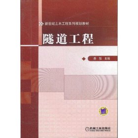 隧道工程 岳强 机械工业出版社 9787111383031