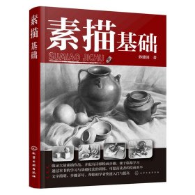 素描基础 孙建国 化学工业出版社 9787122260895