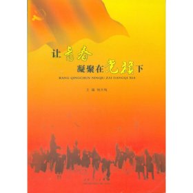 让青春凝聚在党旗下 杨天梅 山东人民出版社 9787209071376