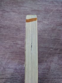 支教:在小凉山的28年
