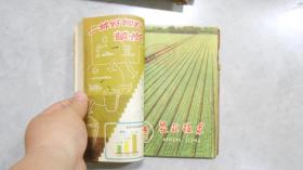 杂志：农业技术（1960年13，14，15,3本合售，其中1960.13封面是毛泽东） 060726