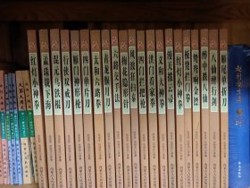 功法秘诀宝藏：卷五·拳法兵器 20册合售（红灯小神拳，混元乌铁棍，梅花隐形针，义和大神拳，四门拦把枪，四门单片刀，六路交手法，洪门看家拳，太和六路拳，雁门神形枪，雁尾单折刀，板凳拦门拳，漫天拨云帚，青龙偃月刀，行侠双戒刀，风波狂扫秦，八仙醉行剑，孟珠栽下海，醉中跌八仙，鸳鸯响金镖）