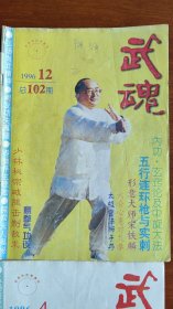 武魂 1996年 12期 太极秘法狮子丹 少林密宗破腿即制敌术 六合心意对九拳 形意大师宋铁麟 玄窍论及中旋大法