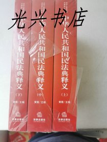 中华人民共和国民法典释义（上中下） 未开封