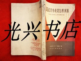 65亿斤小麦是怎样来的-----河北省小麦丰产展览会介绍