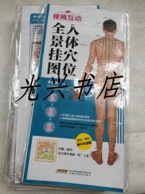人体穴位全景挂图  10个合售