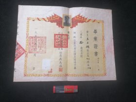 建国初期毕业证书：江苏省南通师范附属小学校（校长吴志仪）（1953年）（通师一附：张謇亲手创办的全国第一所师范附属小学校）（仅见）