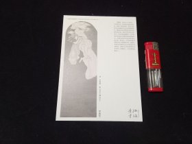 畫片：中國(guó)美術(shù)南通現(xiàn)象（羅擁軍）（中國(guó)畫滄）（32開）