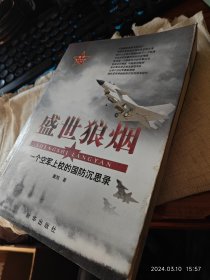 私人藏书九品包邮【新华版2009一版2011十四印本 豆瓣7.7】《盛世狼烟：一个空军上校的国防沉思录》