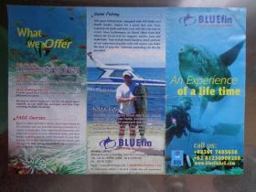 BLUEFIN,THE SCU BA DIVERS PARADISE印尼蓝鳍金枪鱼——潜水者的天堂 00年代 16开折页 英文版 巴厘岛潜水胜地分布图。蓝鳍潜水公司、努沙佩尼达岛、蓝梦岛、萨努尔岛、巴东湾、甘地达萨、鹿岛、PADI自由潜课程、钓鱼游戏、海豚狩猎等图文介绍。