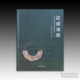 武威海藏：齐家文化遗址发掘报告（全2册）