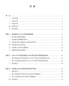 中国创业板上市公司无形资产年度研究报告/文豪 魏永长 闫昱彤