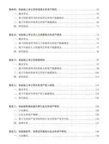 中国创业板上市公司无形资产年度研究报告/文豪 魏永长 闫昱彤