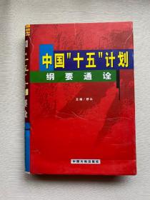 中国“十五”计划纲要通诠