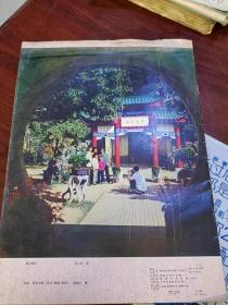 湖南画报1980年第3期
