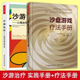 2册 沙游治疗：心理治疗师实践手册+沙盘游戏疗法手册 特纳 万千心理 沙游学习 箱庭疗法 心理咨询治疗师 儿童青少年心理学