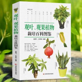 观叶观果植物栽培百科图鉴 养花大全图鉴花卉园艺栽培技术植物应用200种花卉繁育与养护园艺百科全书