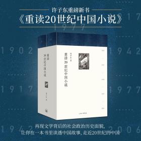 重读20世纪中国小说(精装全二册)