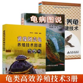 养龟3册 龟病图说黄缘闭壳龟养殖技术图谱高效养龟乌龟甲鱼水产龟鳖高效养殖技术书龟病防治龟类图鉴养好龟蛋龟金钱龟饲养手册